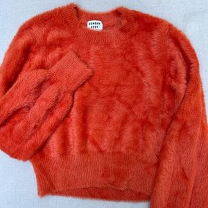 Aritzia Sunday Best Sweater